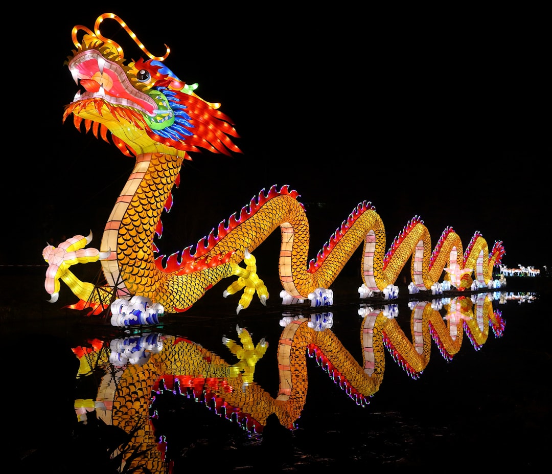 Photo Knight, dragon