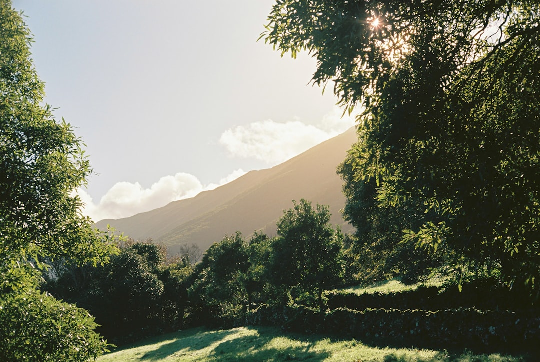 Photo mountains, community